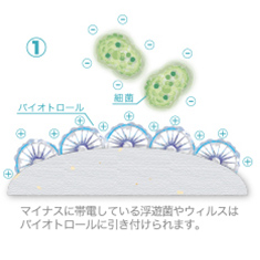 マイナスに帯電している浮遊菌やウィルスはバイオトロールに引き付けられます。
